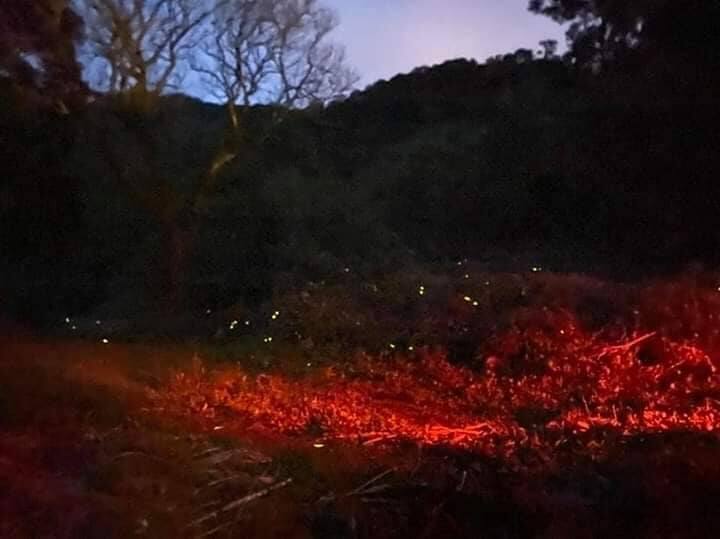 尖石文萱居 夏季避暑